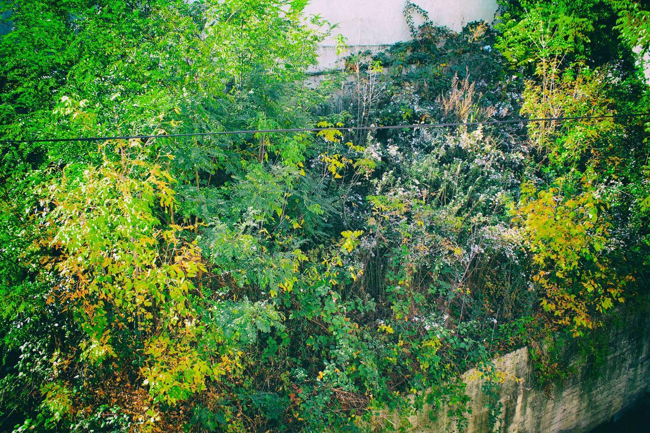 Calm Apartment Belgrad Dış mekan fotoğraf